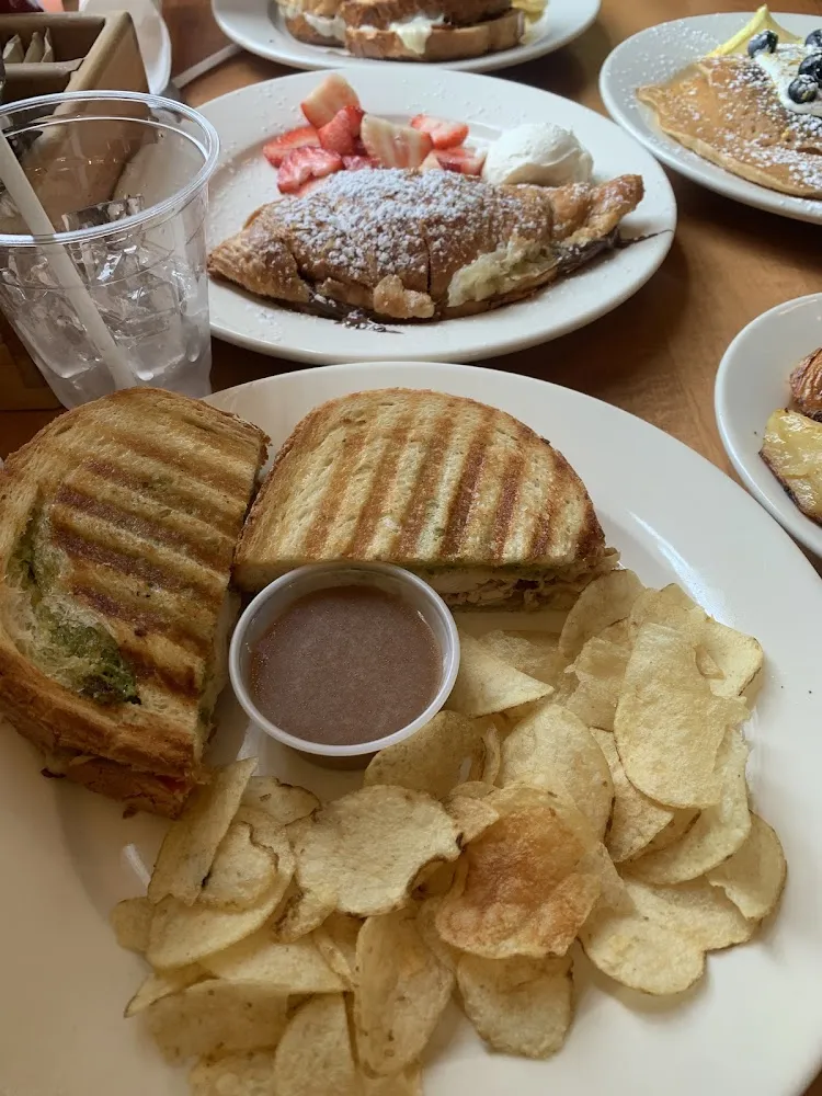 Chicken Pesto Panini